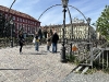 zbierka_dennarcisov_18-04-2024_4