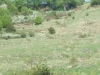 image014