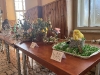 sutaz_velkonocnykosik_25-03-2024_5