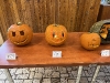 vvyrezavanie_tekvic_27-10-2023_4