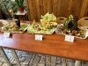 sutaz_zdravavyziva_19-10-2023_3